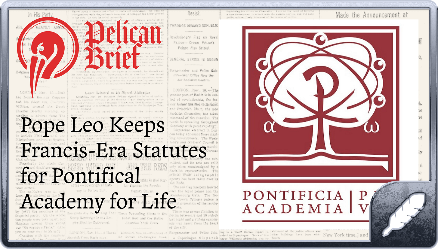 Pope Leo Keeps Francis-Era Statutes for Pontifical Academy for Life