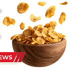 THE BULLSHIT YOU SWALLOWED WITH YOUR CORN FLAKES