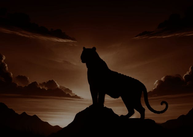 [Special Report] 2024 Thailand Web3 Market Research