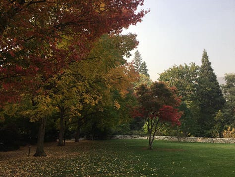 Fall foliage and river in Lithia Park