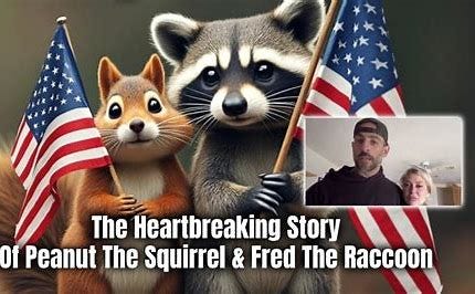 Image result for P’Nut the Squirrel