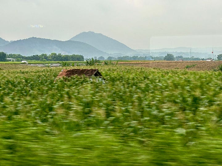 Views from the train from Jakarta to Yogyakarta