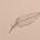 Fanny Mathevet's avatar