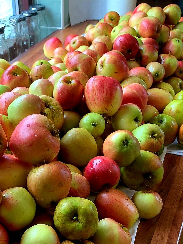 Not Pink Lady apples