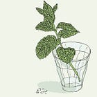 Cocktail Column: Mojitos