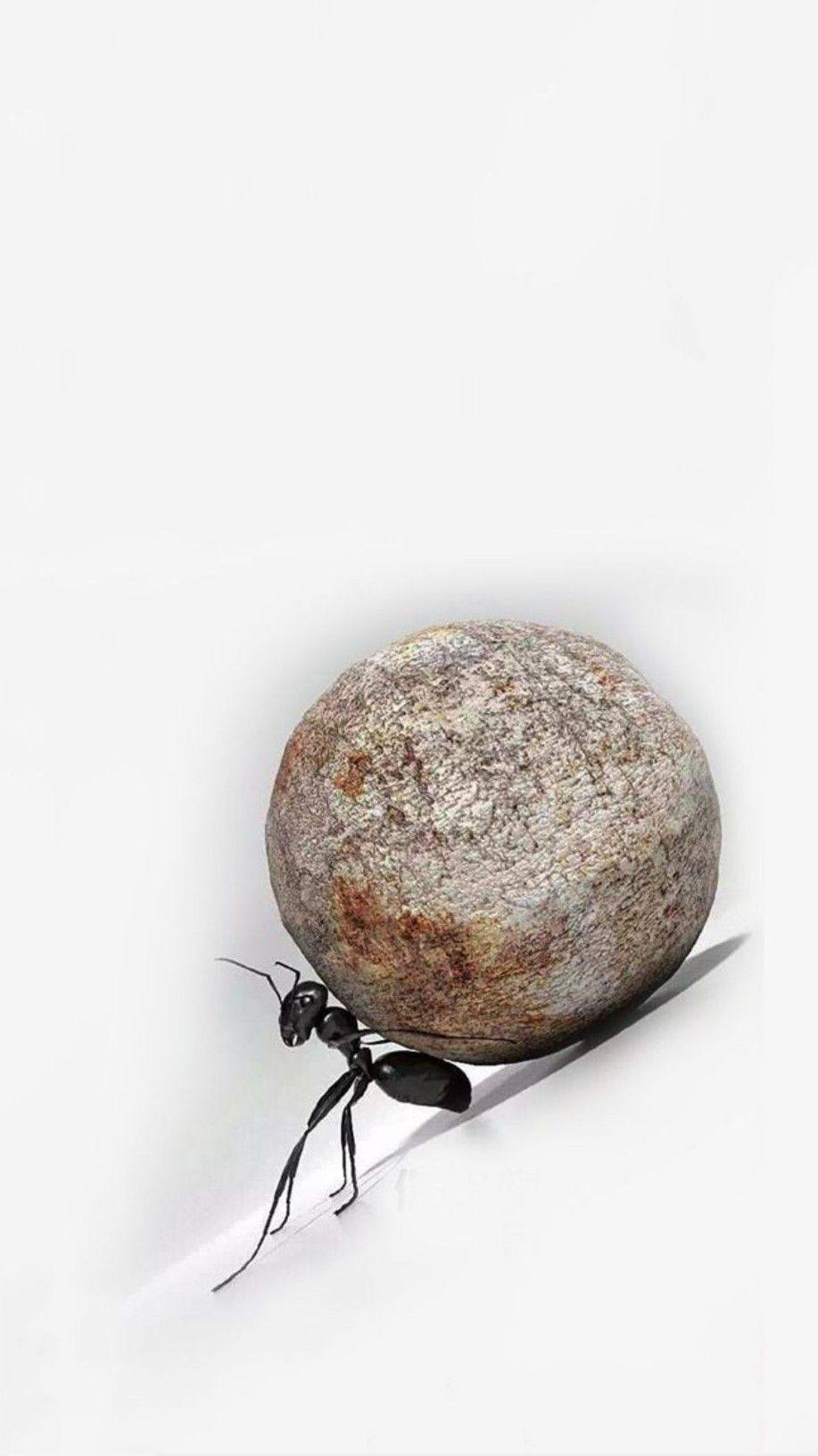 No photo description available. No photo description available.