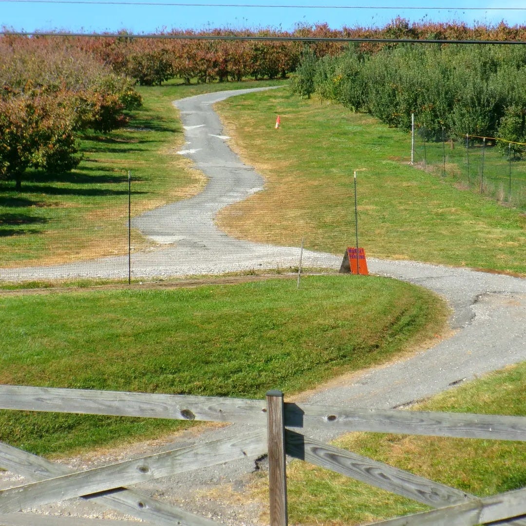 No photo description available.