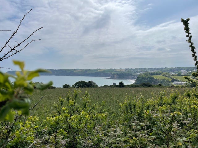 Photos near Charlestown by Sabrina Simpson