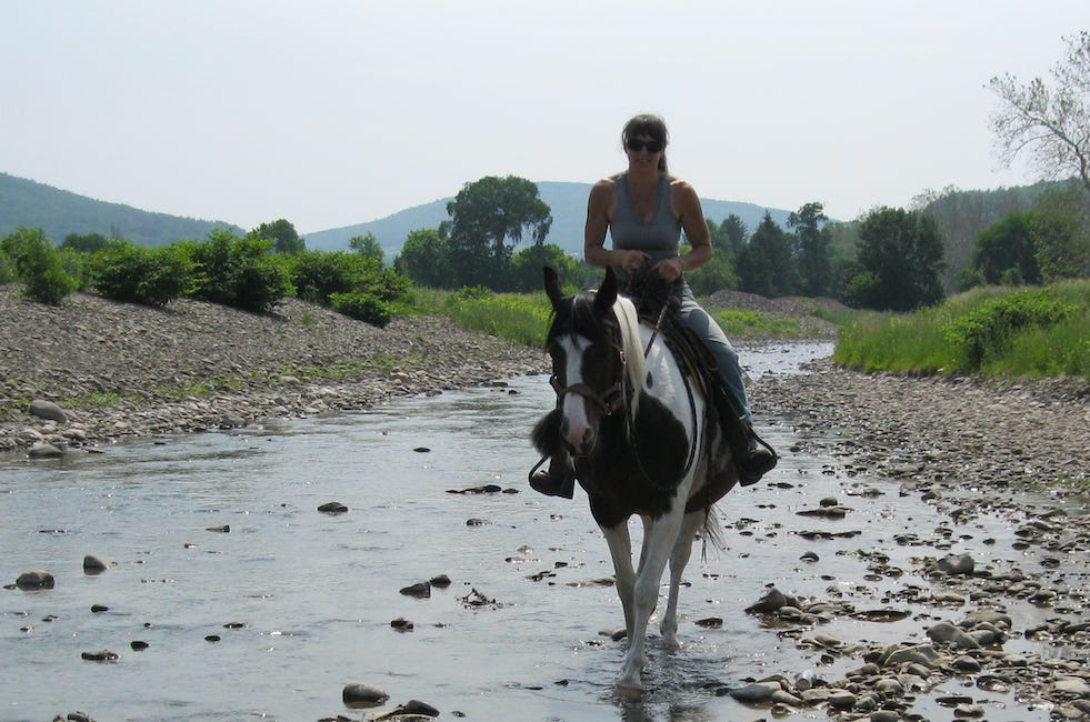 Every Horse has a Story