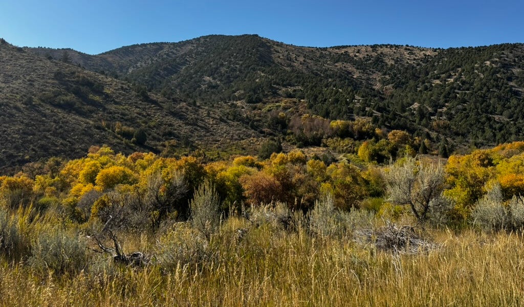 The New in the Old Revealed