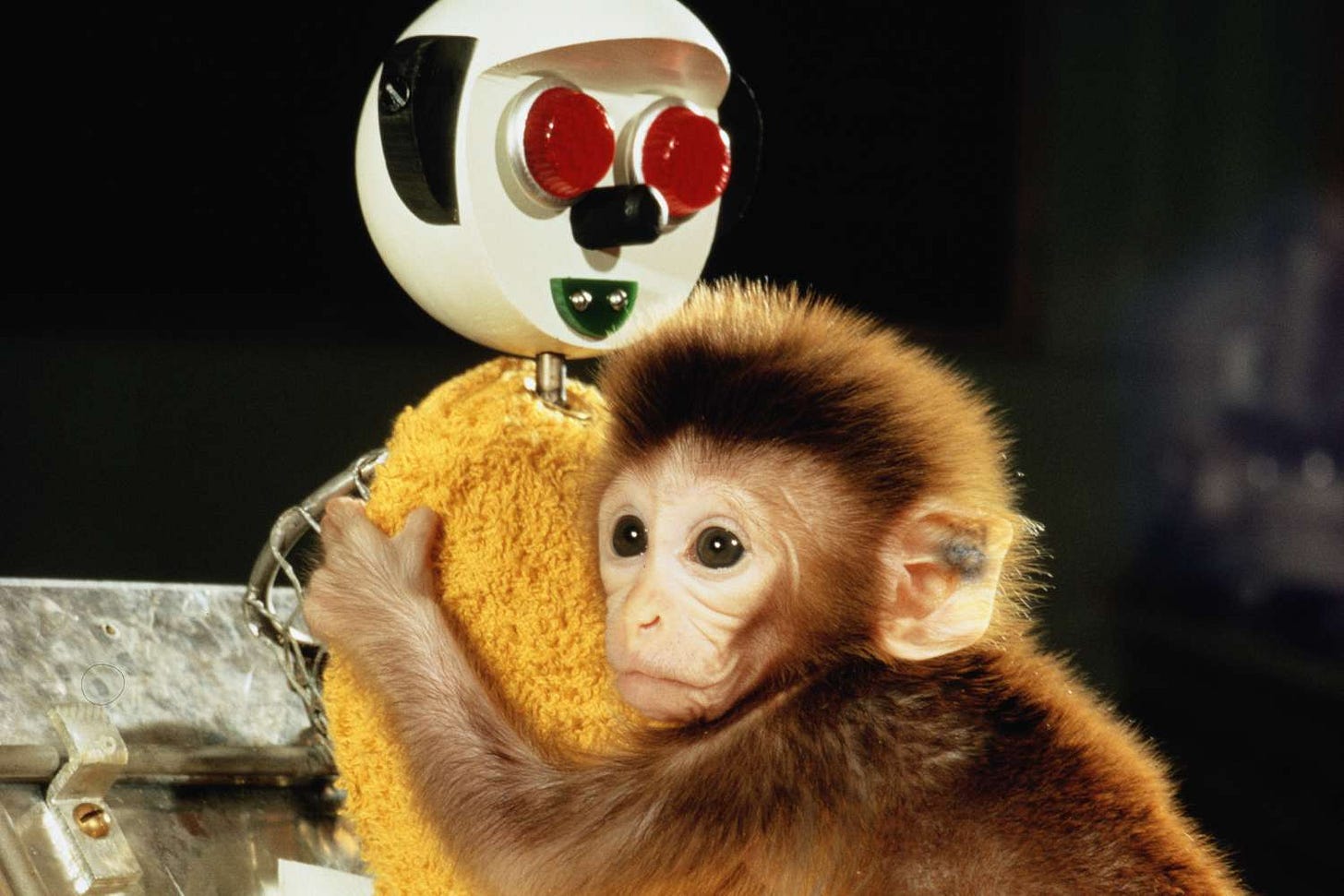 Harry Harlow and the Nature of Love and Affection Harry Harlow and the Nature of Love and Affection