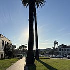 ✨Join us for a Virtual Workshop on Attention & Writing Practices✨