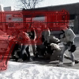 Why Wouldn’t They Shoot Somebody?