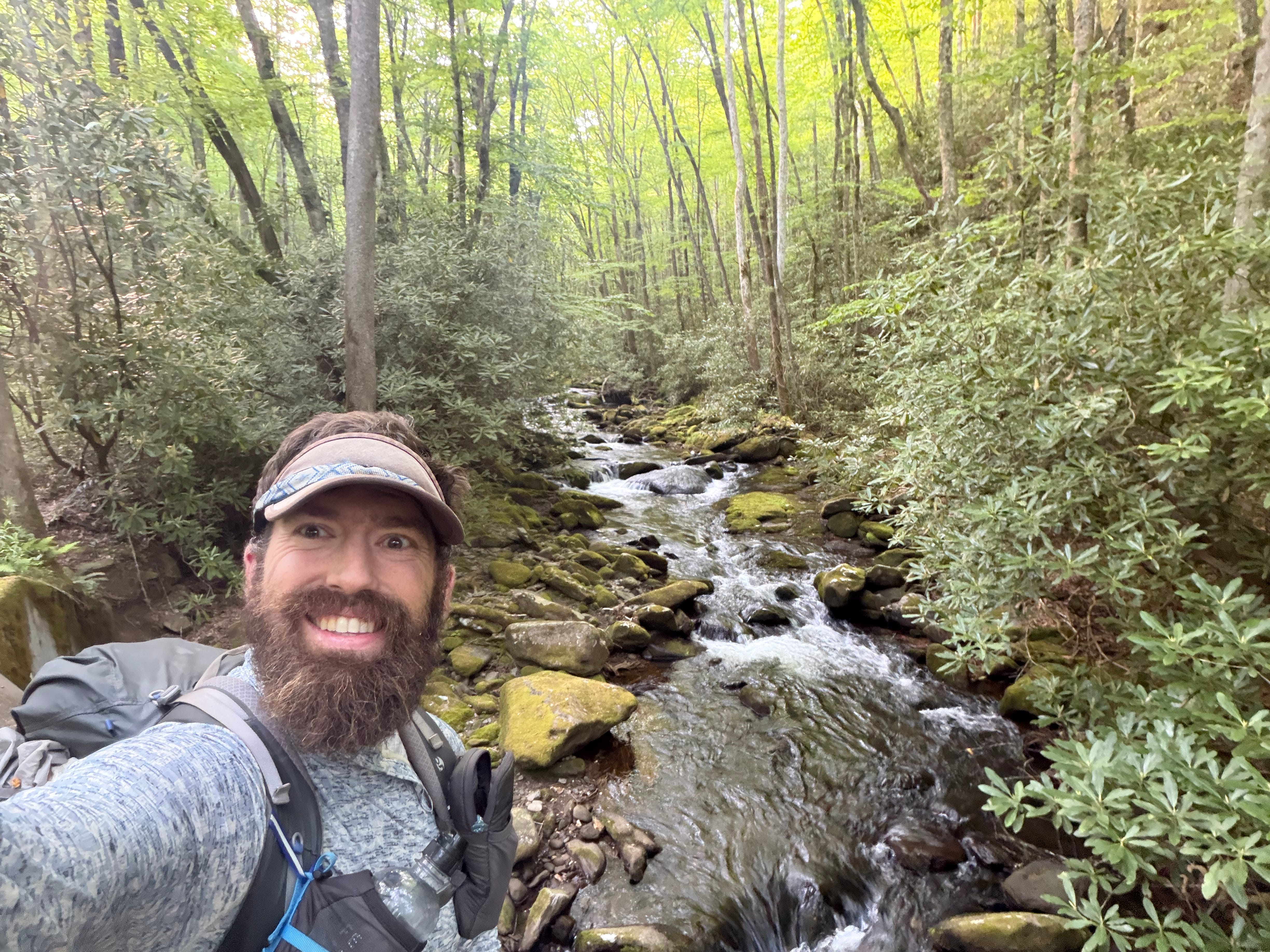 A Six Hour Bear Standoff in the Smokies