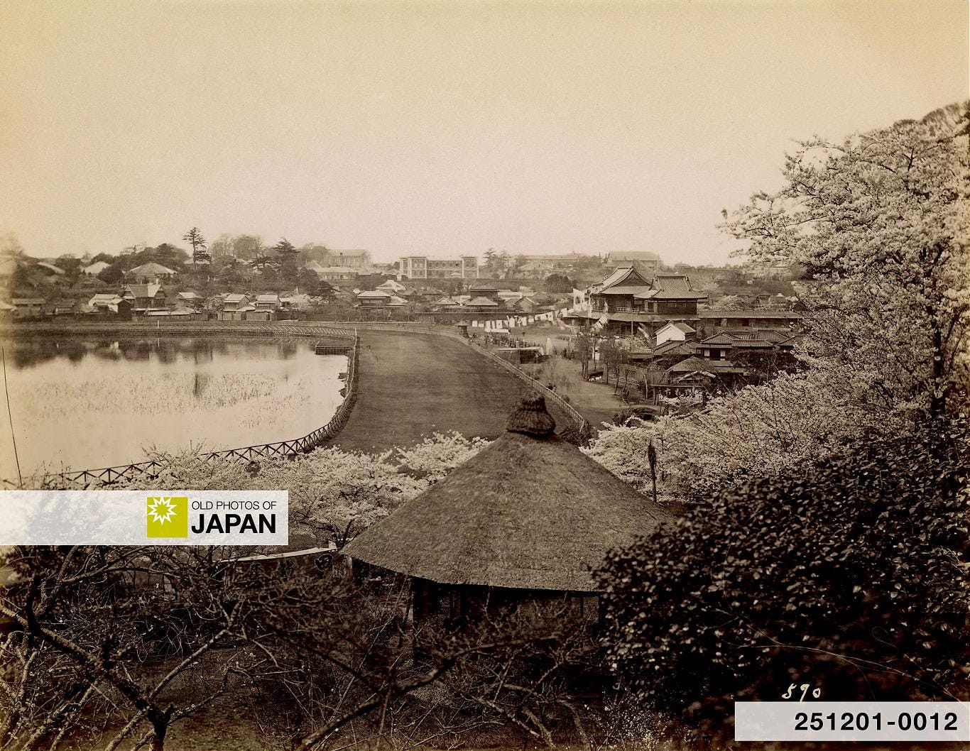Horse race track at Shinobazu Pond in Ueno Park, Tokyo, ca. 1880s