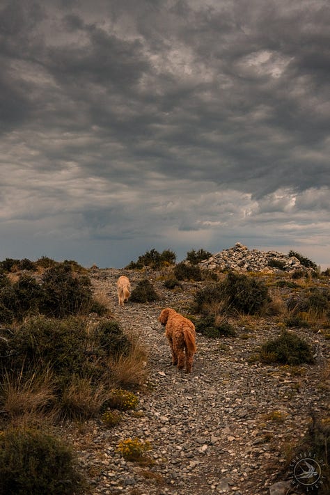 Fuji photographs of life in Montana by Tyler Knott Gregson