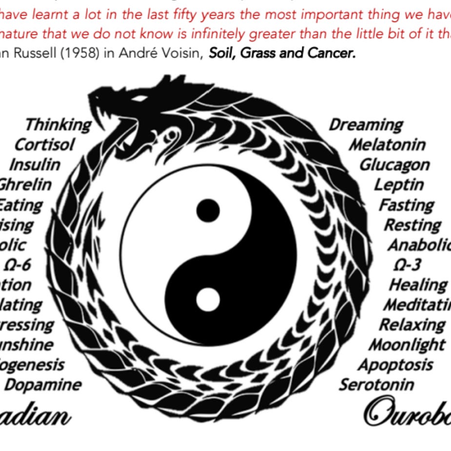 Captain’s Newsletter