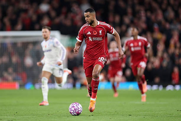 Cody Gakpo in action for Liverpool