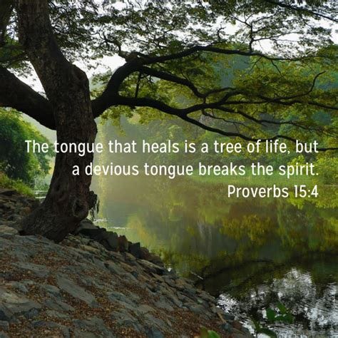 Proverbs 15 4 the tongue that heals is a tree of life but a devious ...
