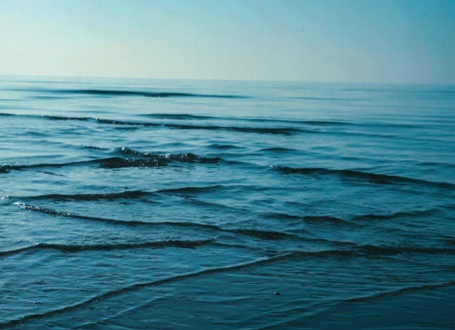 A close-up of a body of water

Description automatically generated