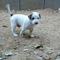 Basil's avatar