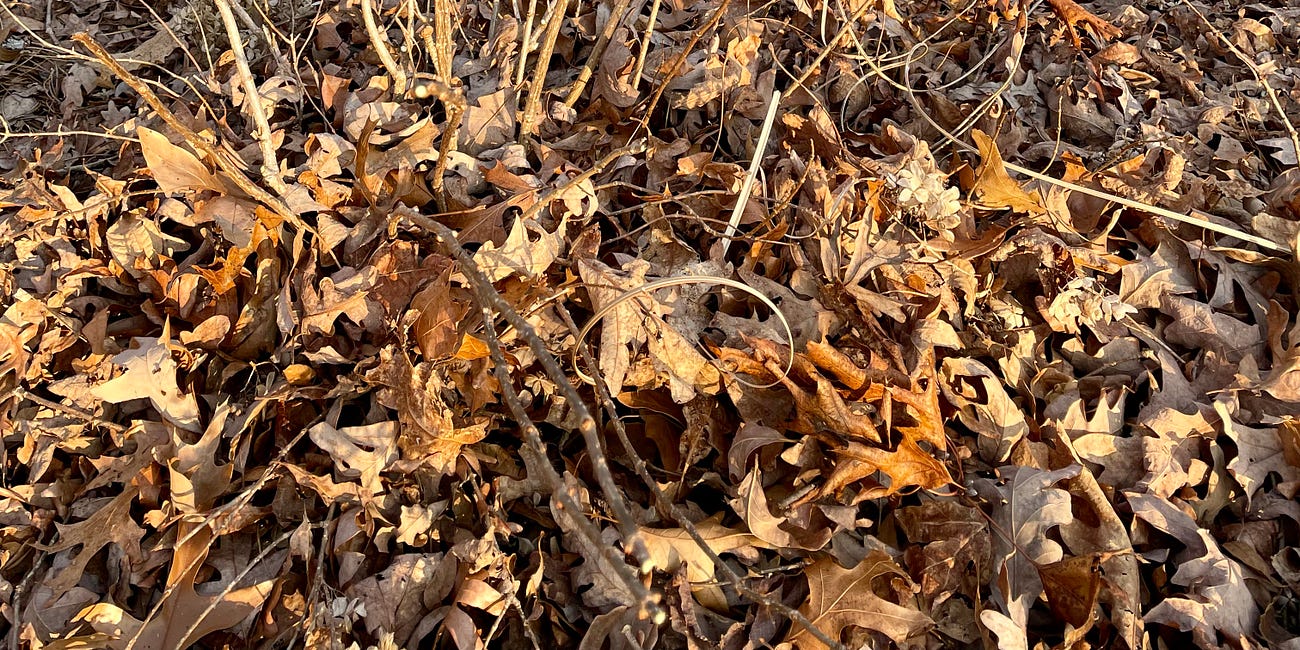 Pruning Is Not Instaworthy