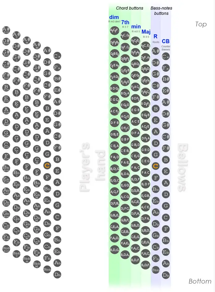 120-button Stradella layout 120-button Stradella layout