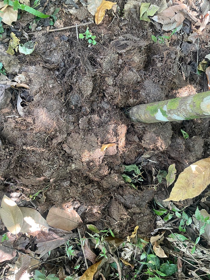 Blackish farm soil indicates lush microbial activity; Sundara Naik works as a driver by the day to supplement his earnings; he is willing to keep his farm going come what may