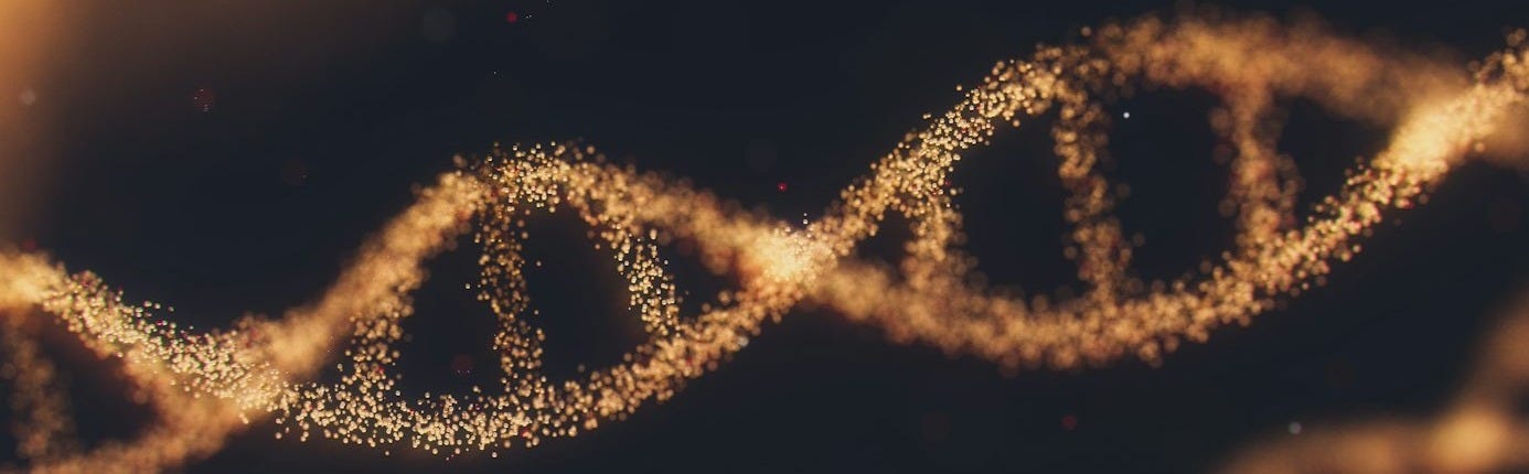 a close up of a double strand of gold glitter