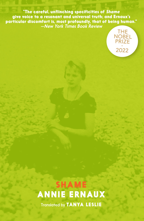 Book cover for Shame