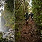 Five Things Running: Issue #184