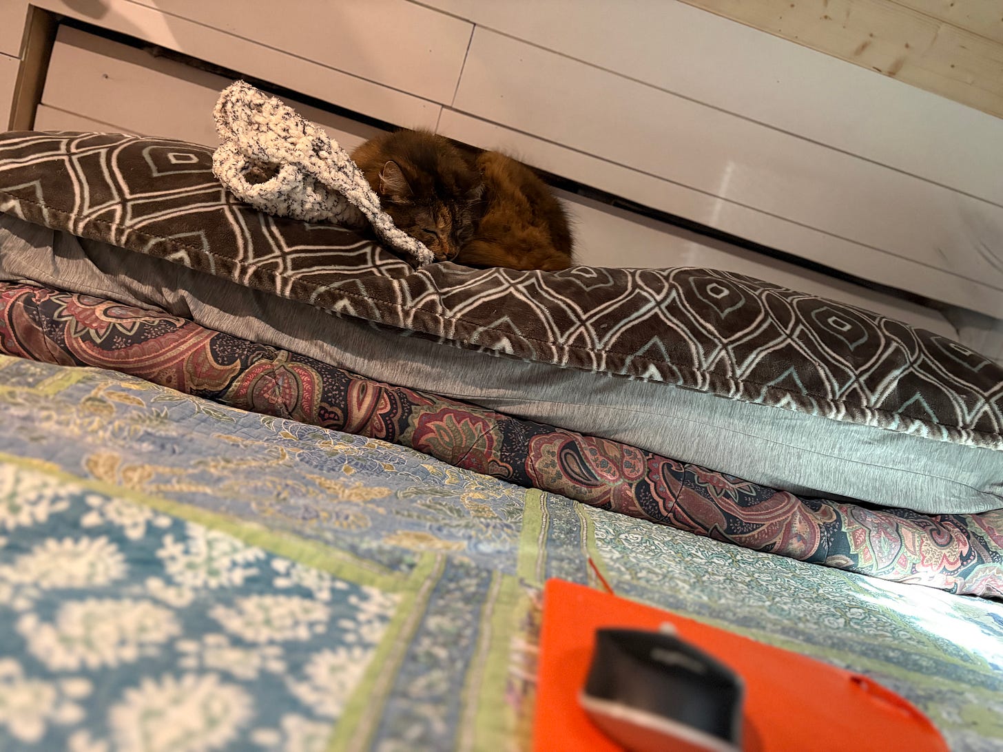 A brown tabby cat sleeps curled up on top of a soft stack of pillows and blankets in a cozy van interior. The cat rests its head against a fluffy white blanket, and patterned bedding in muted tones fills the foreground.