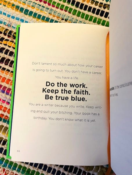 Book against a rainbow cushion, open to a page with the words: "Don’t lament so much about how your career is going to turn out. You don’t have a career. You have a life. Do the work. Keep the faith. Be true blue. You are a writer because you write. Keep writing and quit your bitching. Your book has a birthday. You don’t know what it is yet."