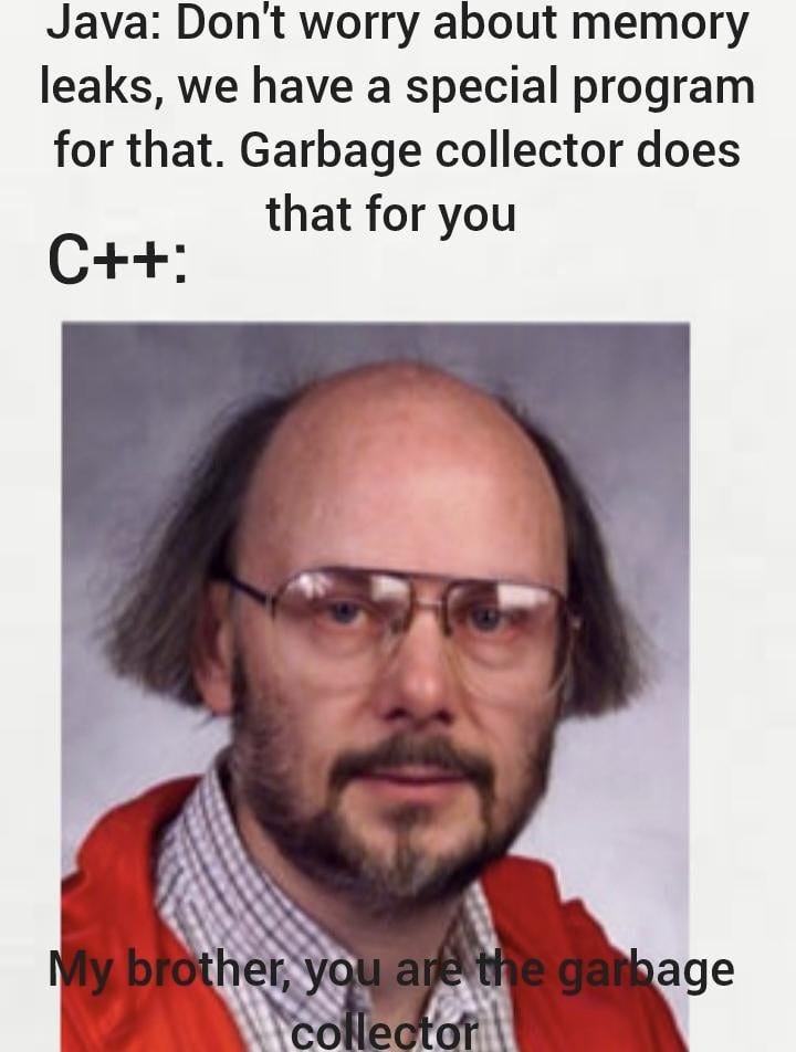 whoNeedsGarbageCollectorAnyway : r/ProgrammerHumor