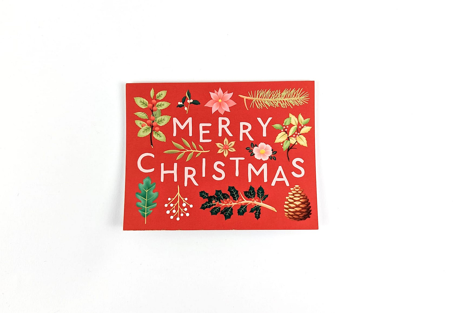 Holiday Plants Merry Christmas Card in Red - Clap Clap - Box of 8 - Young W