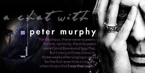 Peter Murphy