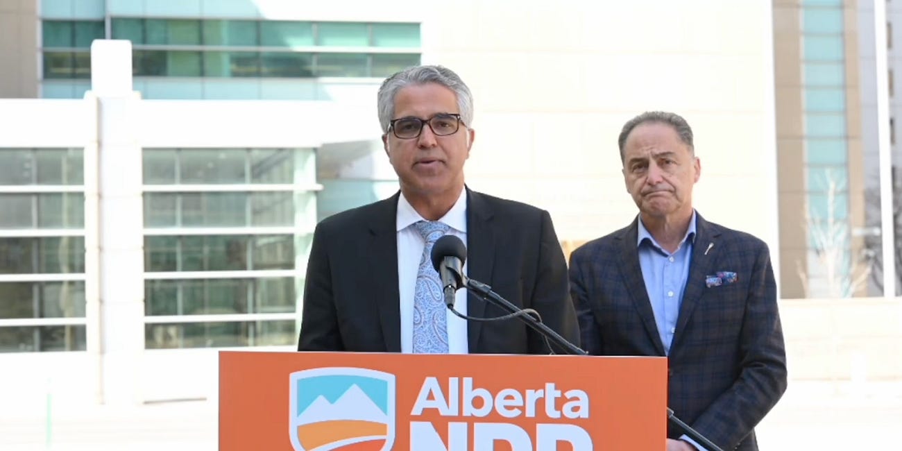 NDP wants it both ways on public safety