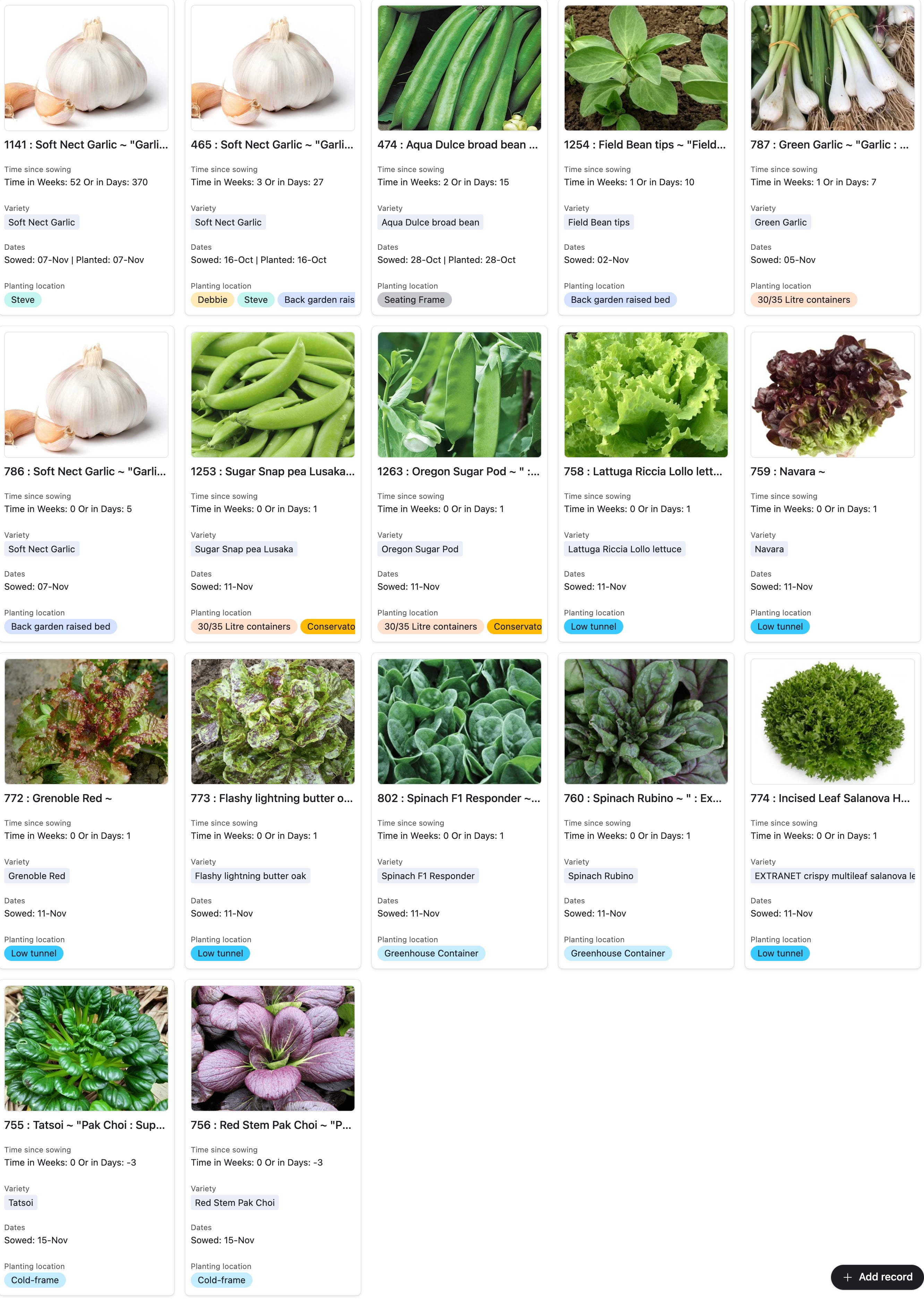 Asian Vegetables Guide (With Mushrooms \u0026 Herbs), image size:2664x3756