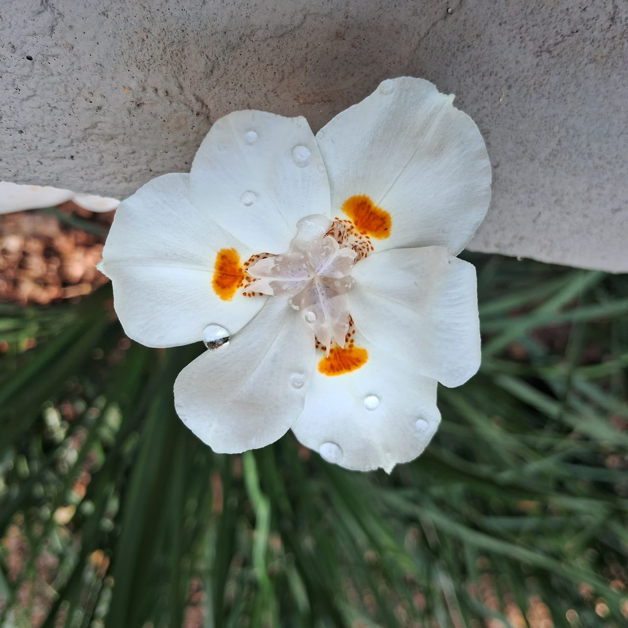 Se é para começar...