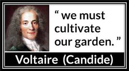 Voltaire: “we must cultivate our garden.”