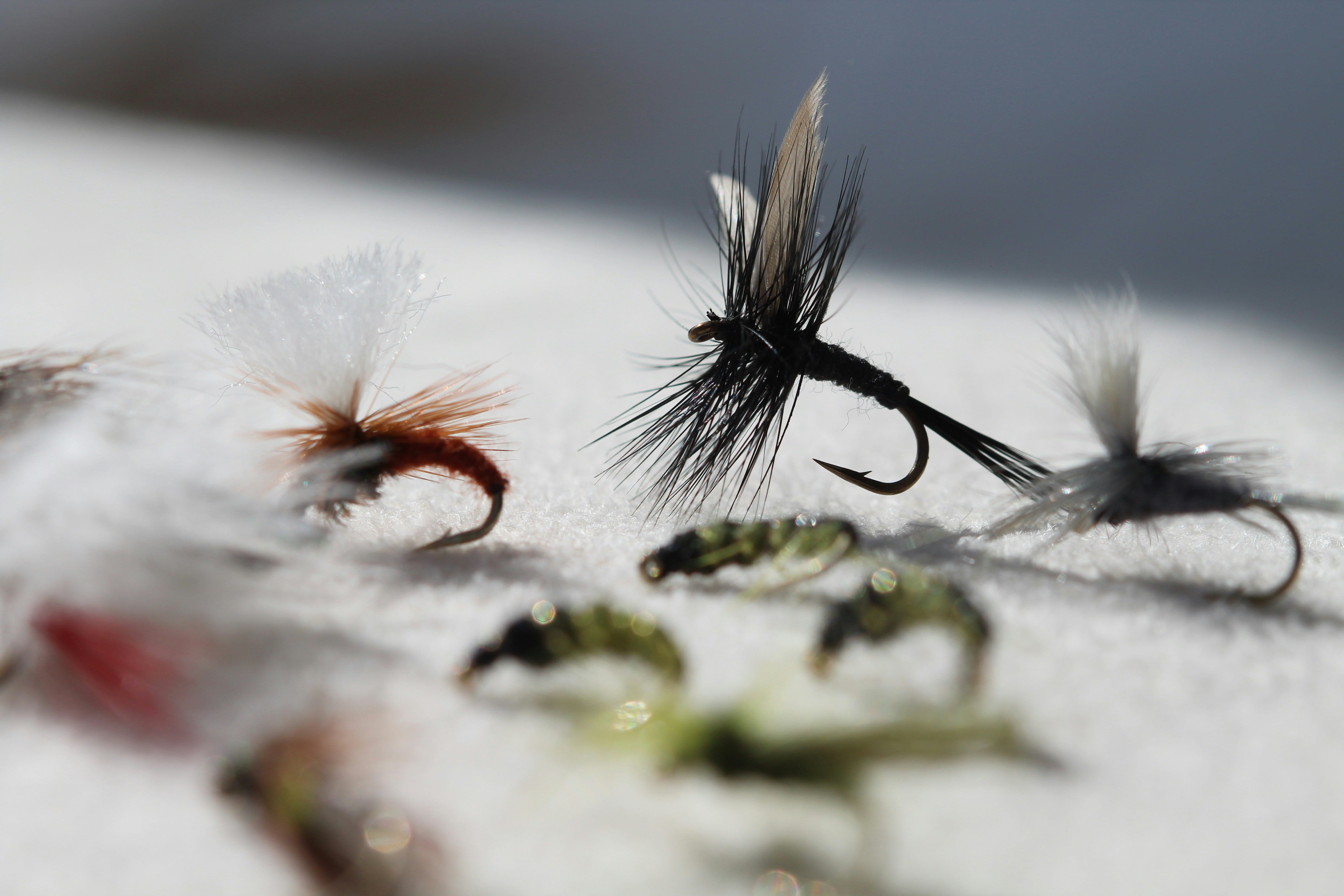 5 Things You Should Know Before You Start Fly Fishing – According to ...