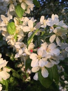 IMG_0172 IMG_0172