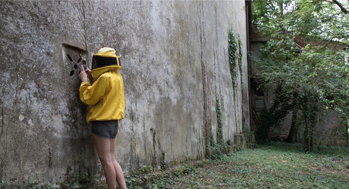 Il mio manifesto per un'apicoltura rigenerativa