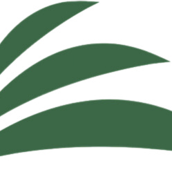 Edgewalkers International Network