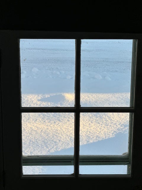 snowy landscape