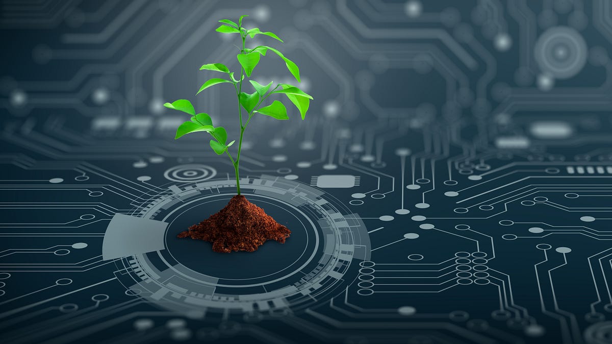 thewinepress.substack.com