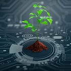 Oracle Launches AI Tool For Government Agricultural Monitoring For World Leaders To Build 'Resilient Food Systems' At UN Assembly