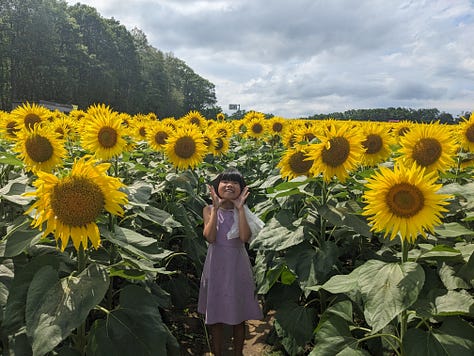 Hokuryu Sunflower Festival
