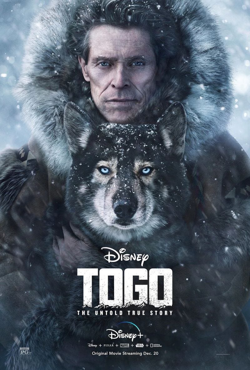 Togo (Film, 2019) - MovieMeter.nl