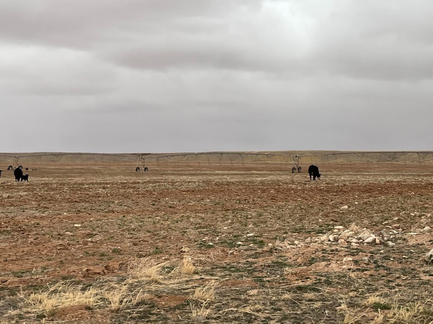 No photo description available.